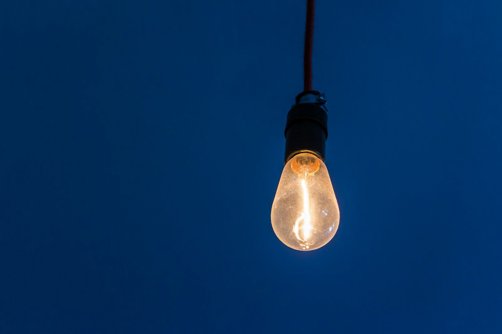 black and white light bulb