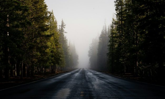 DFN wins $31.6 million Oregon BEAD contract for rural fiber