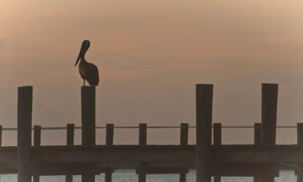 ISP Roundup: Wire 3 supersizes Port St. Lucie build plans