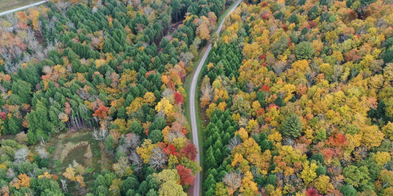 ISP Roundup: GoNetspeed announces Amsterdam, NY expansion