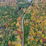 an aerial view of a road surrounded by trees