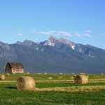 A field with hay bales in the foreground and mountains in the background
