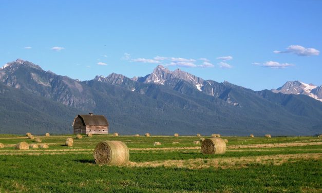 Vero Fiber completes merger with Montana-based ISP